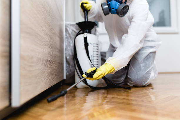 Best Pest Control Near Me  in River Road, WA