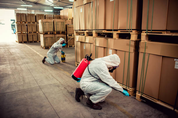 Best Affordable Pest Control Services  in River Road, WA