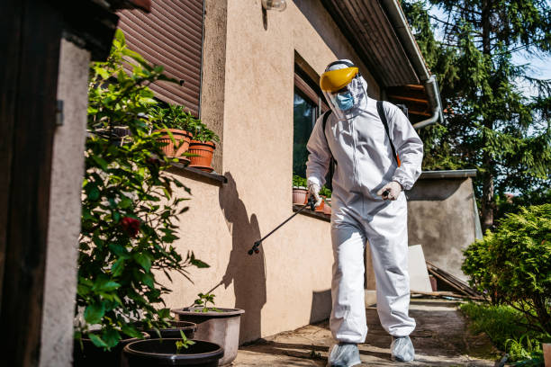  River Road, WA Pest Control Pros