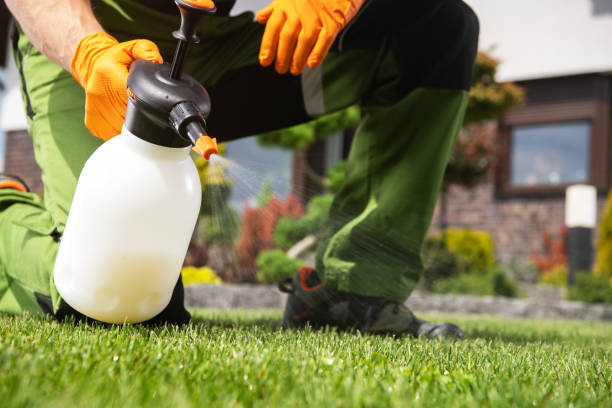 Best Pest Prevention Services  in River Road, WA