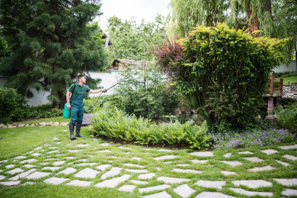 Professional Pest Control in River Road, WA