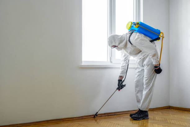Best Pest Inspection Near Me  in River Road, WA