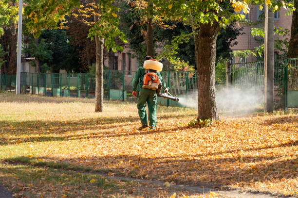 Best Termite Control Services  in River Road, WA