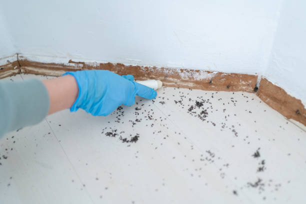 Best Pest Removal Services  in River Road, WA